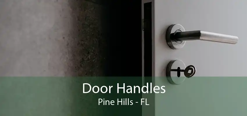 Door Handles Pine Hills - FL