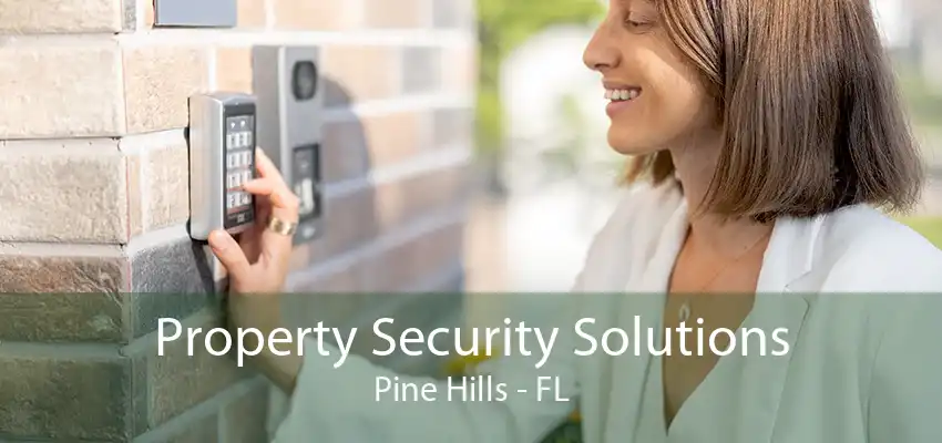 Property Security Solutions Pine Hills - FL